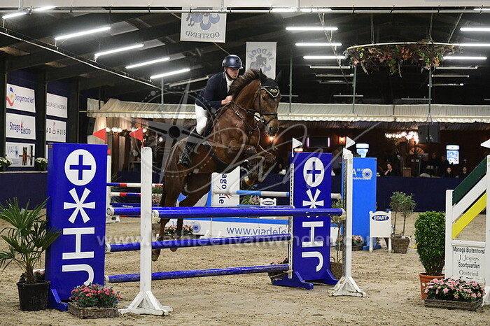 Olivier van der Vaart - NN 2