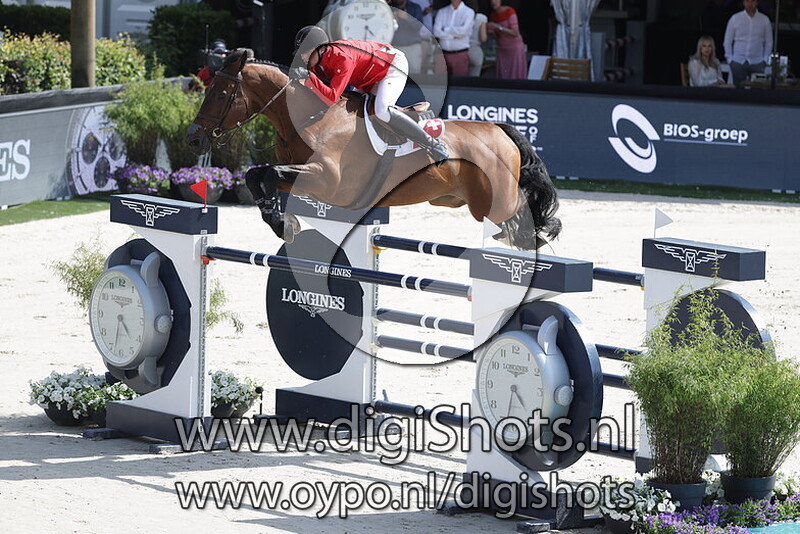 Gamin van't Naastveldhof