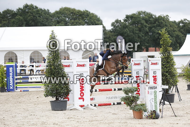 Demi kattenpoel oude Heerink