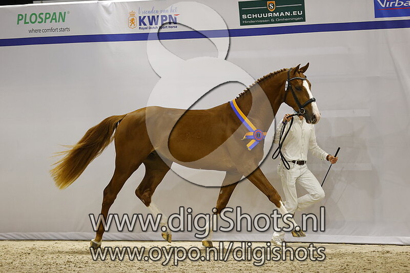 Over the Top v. Carambole