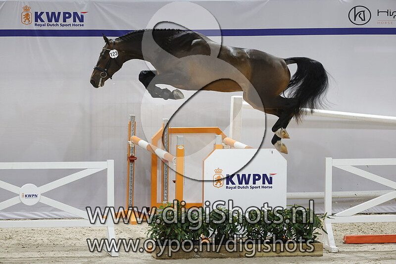 Orindus W v. Impressive VDL