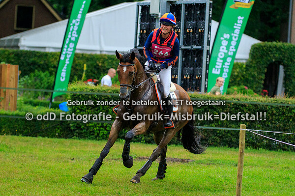 Maarsbergen Horse Trials EEC19 13-07-19