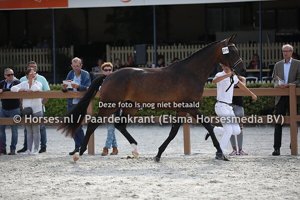 211 La Grande Ciretha (Grand Galaxy Win x Balalei v. Florencio)