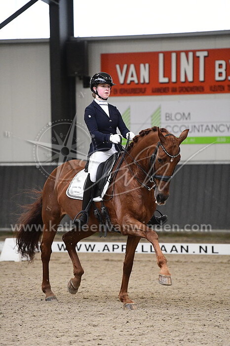 Lemoni Dicker - Helena