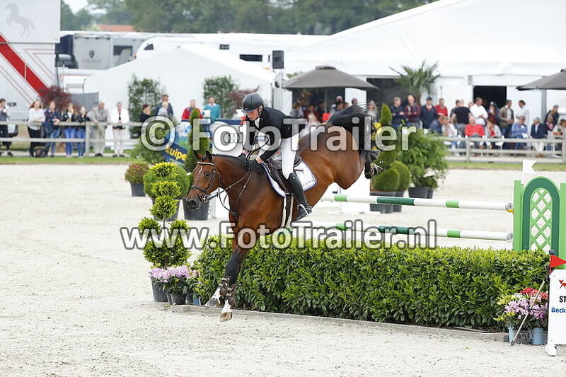 dennis van den brink