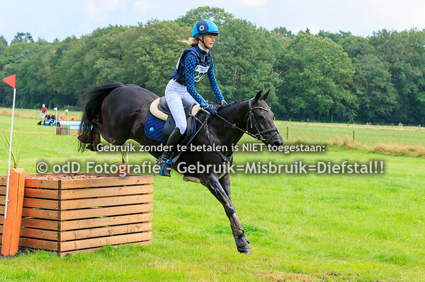 Eventing Norg Paard L Pony M 25-08-24