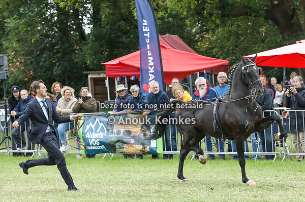 Show TP Kampioenschap lange lijnen