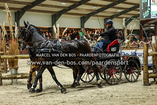 20241102 - Finale-tweespan-paard