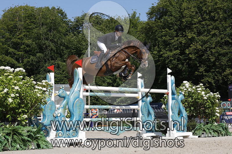 Maestro Gusto vd Laarse Heide