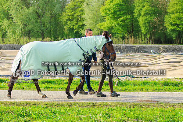 North Holland Horse Trials 13-04-24