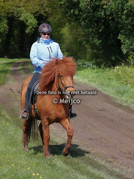 Voorjaar in de bol rit 2024