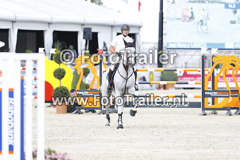 Jose Maria jr Larocca