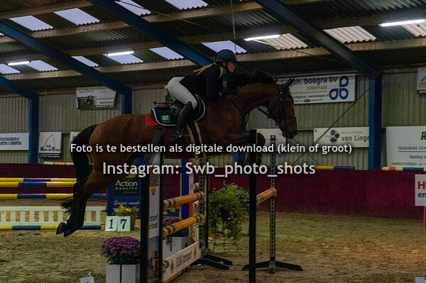 Paarden Indoor Zwaagwesteinde 1.00m