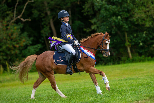 Welsh Sportdag Noord