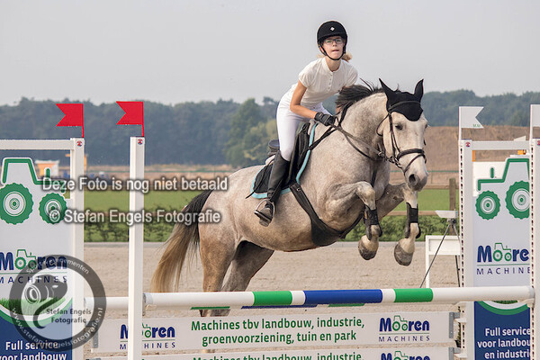 2017-07-08 Outdoor beesel