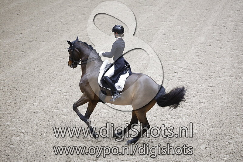 Askehavens Beau Sancy