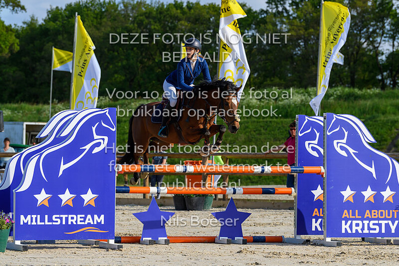 S22 Springen DE 110cm