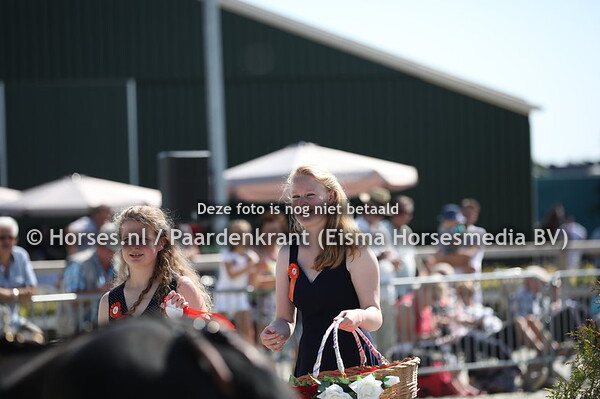 190824 Hippiade Tuigers en Hackneys