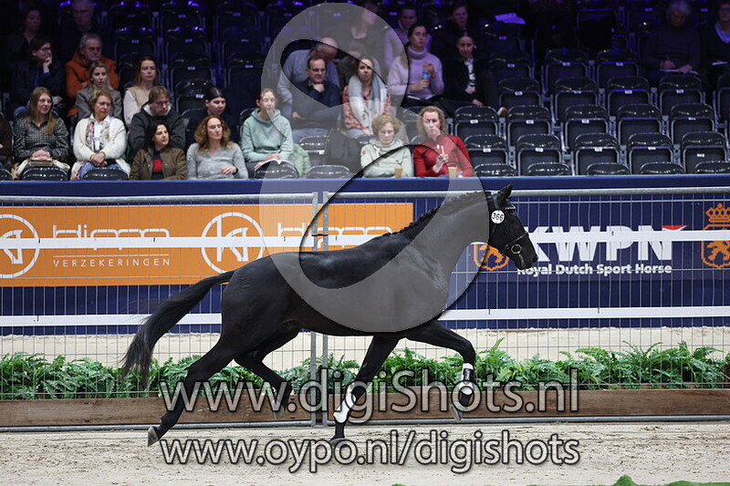 Souverein B v. Glamourdale