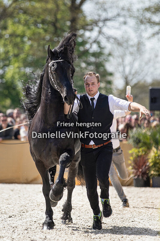 Hengstenshow Lunteren 18-04-2022 Tiede 501