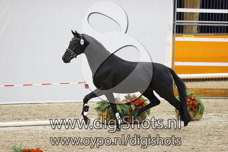 Nadal SSF v. Just Wimphof