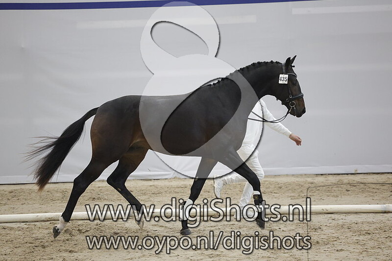 Parfait v. Just Wimphof - 435