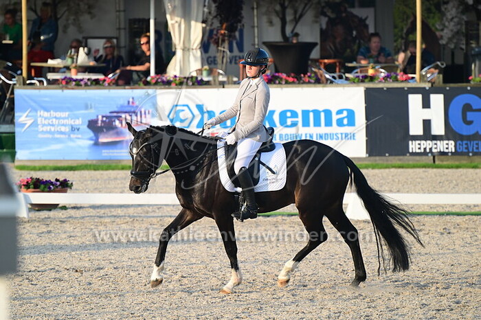 Feline op der Heijde - Phlox