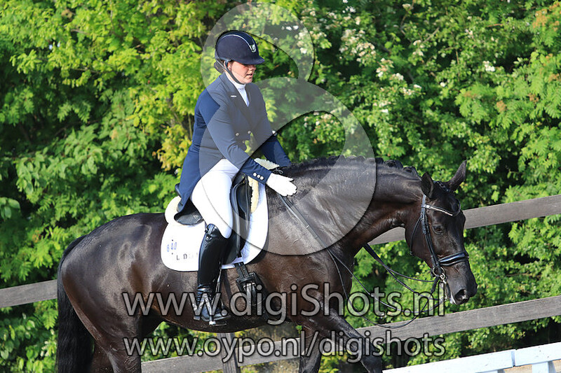 LED for Lights Zamara Sue