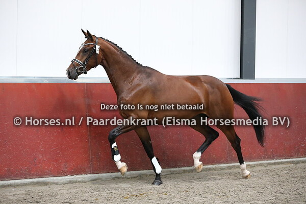 124 Mint Ice Diamond