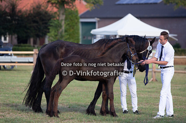 59. Harm van de Boezem