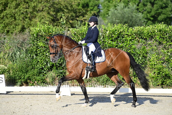 Mercedes Verweij - Lyndon B Johnson SV