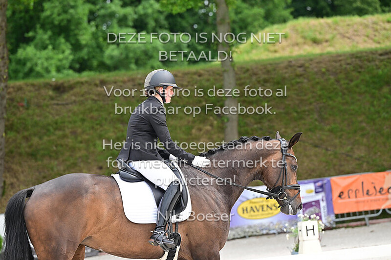 33 Hoofdterrein Dressuur Klasse Z1,selectie Regio Brabant. Proef 38