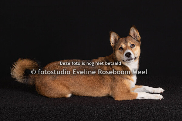 Menschool Soest deel 3