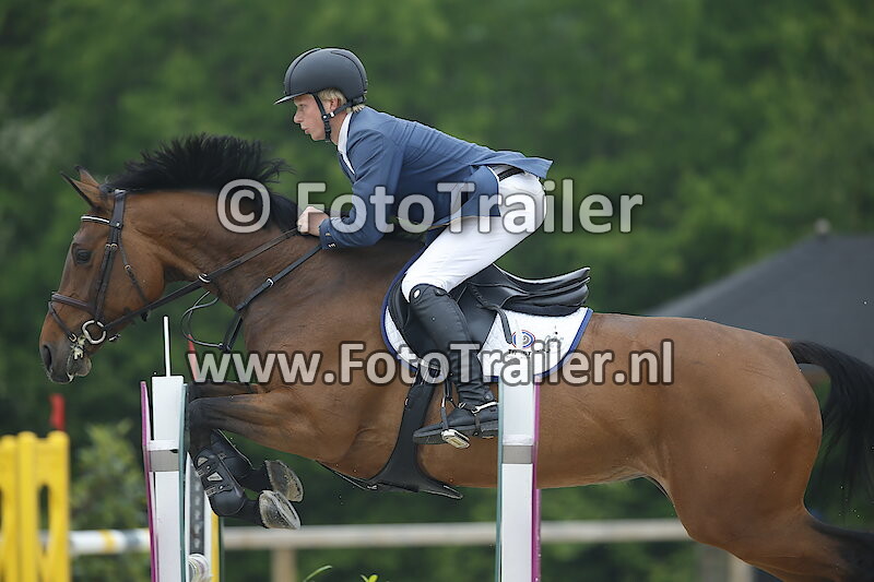 Dennis van den Brink