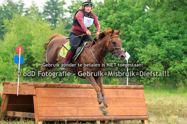 Oefencross Ede, Jack Link's 13-06-20