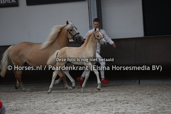 29 Kristel (Stale x Karisma) (1)