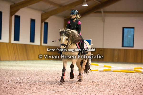 Welsh Winter Youngstock Show