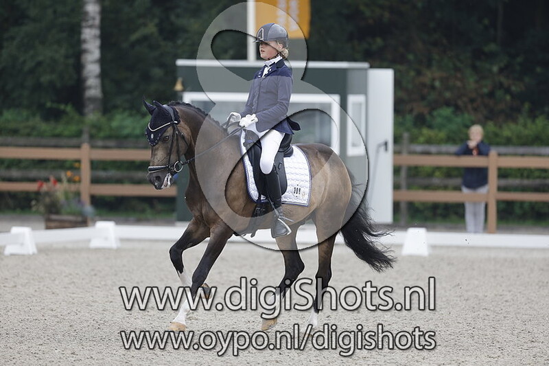 Ring 4 - Z1 DE Proef 2