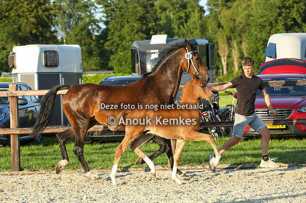 93 - V..... ( Pavarotti x Eebert ) 