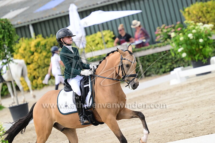 Harley Dikkerboom - Don Caramelli