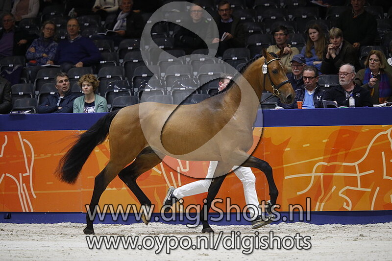 Lucky Luke DDH v. Lord Sandro