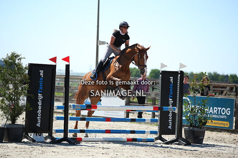 Reigersburgh Lentespringen 10-05-2025 Paarden 80/90 cm