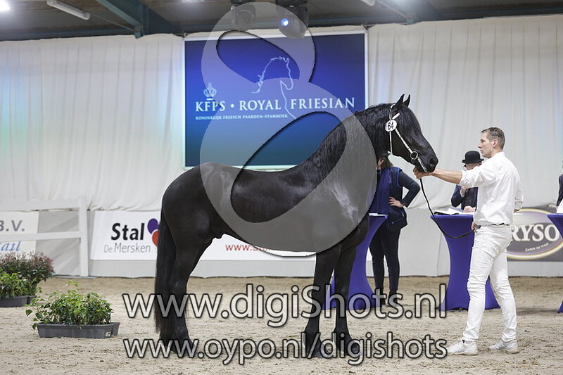 Lutsen fan de Greidpleats v. Nane 492