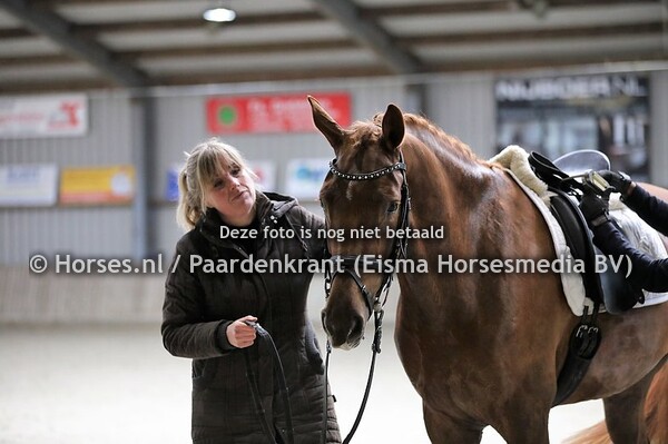 25 Maan (Guardian x Fernanda v. Krack C) Luciano Zandvliet