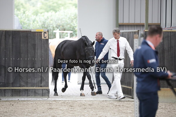 231 Momeau (Glock's Toto jr x Zigane v. Krack C)