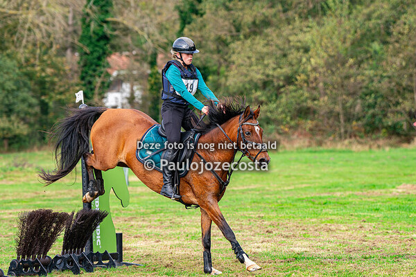 NHRV (Noord Hollandse Ruiter Vereniging) 60cm Ponys