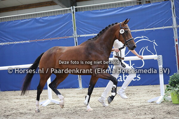 16 Miluscha v Everdale