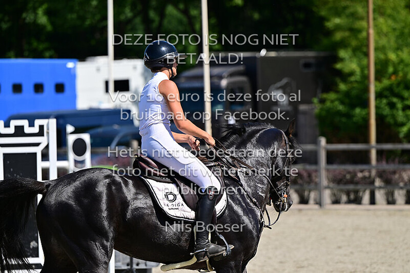 7 Paarden 1.20m 2 fasen special