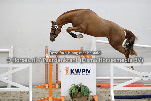 04-12-21 KWPN HK 1e bez springen