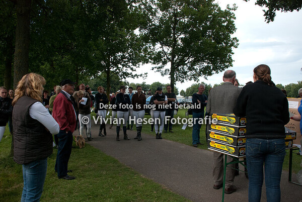 Concours Wittenhorst Paarden